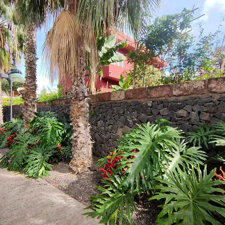 Emblematica Casa Rural Con Wifi En El Sauzal Tenerife بيت للعطل