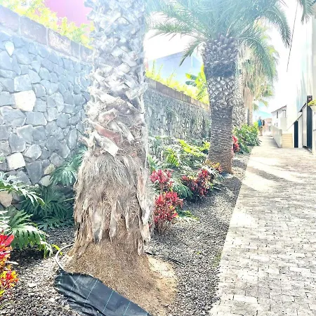 Emblematica Casa Rural Con Wifi En El Sauzal Tenerife بيت للعطل ساوزال